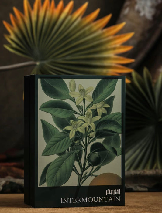 Taraxaci Tea