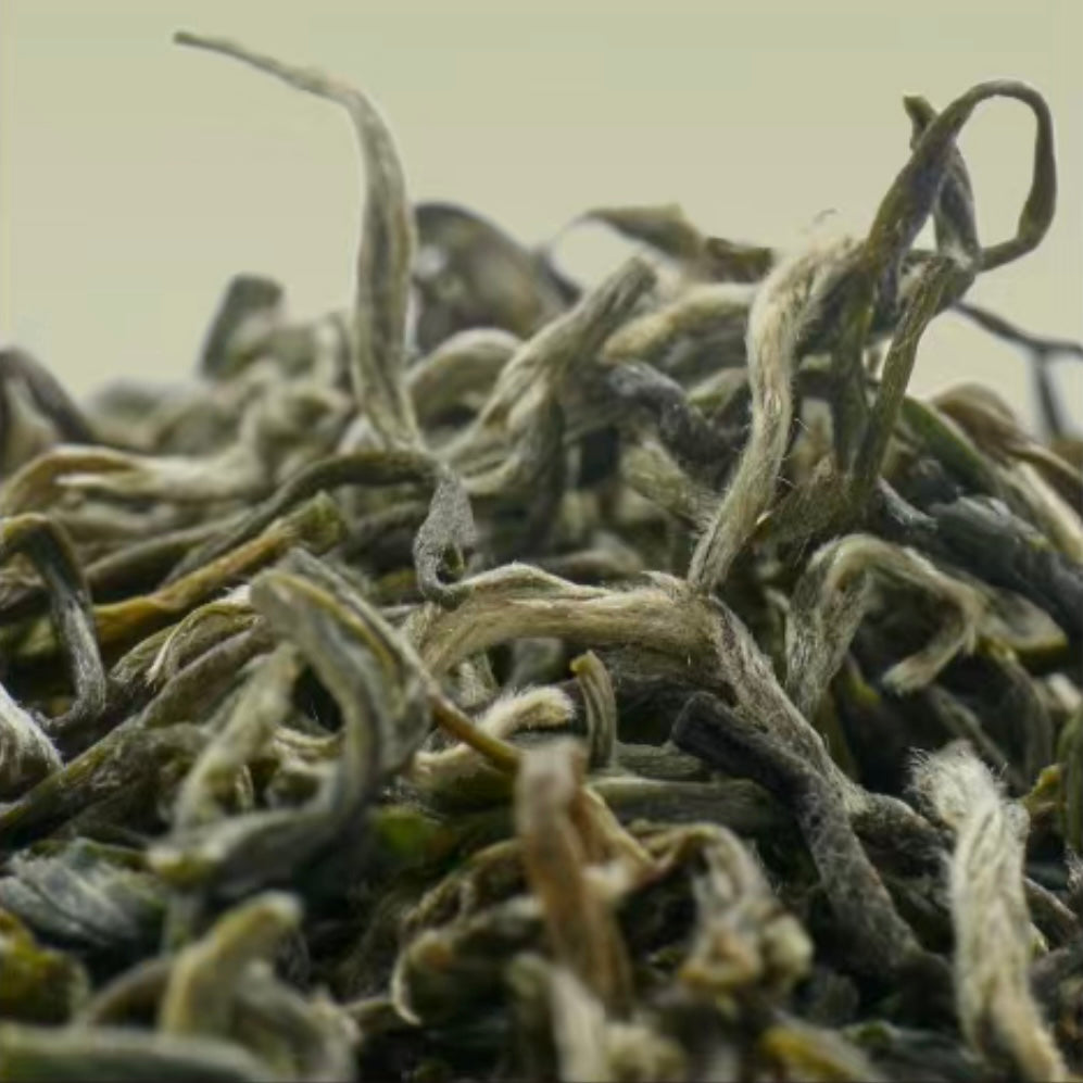 Chestnut Aroma Biluochun 栗香碧螺春